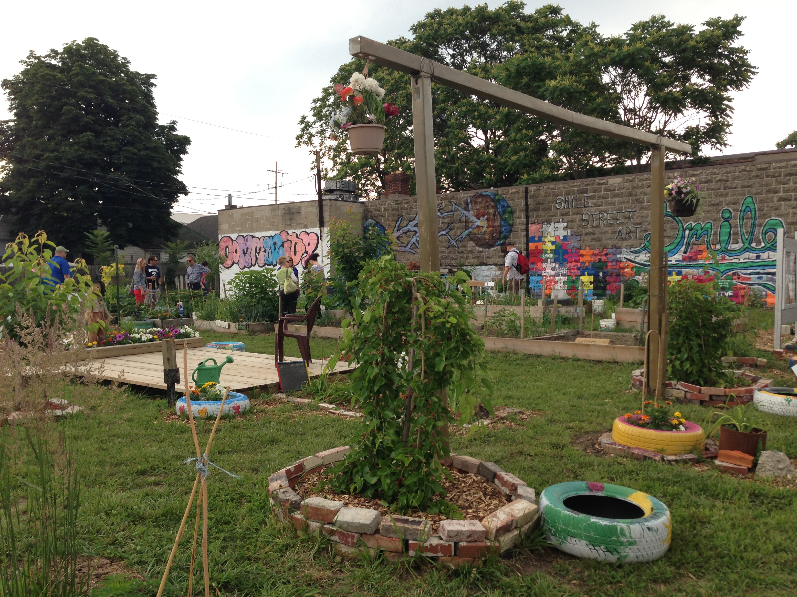 Greenery in a community garden