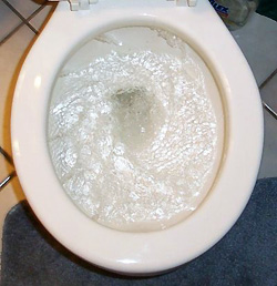 Draining toilet