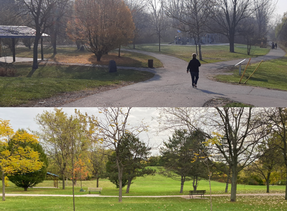 Collage of Little River trails and hill