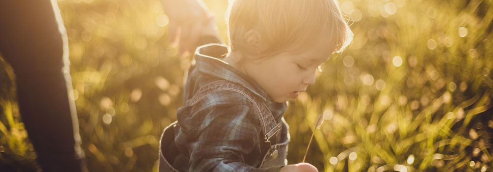 A child stands in a field and looks at a blade of grass while an adult stands behind them