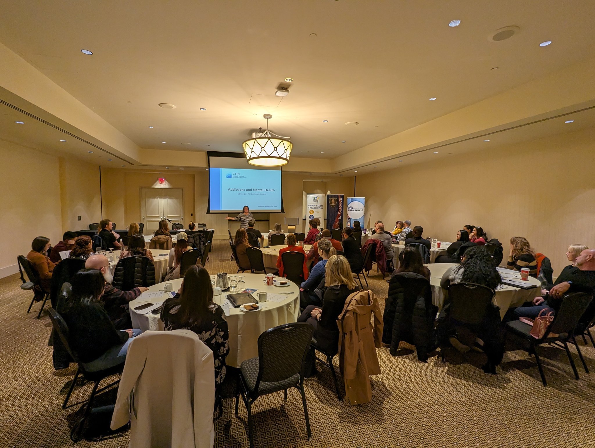 Crisis and Trauma Training Resource Institute Workshop audience