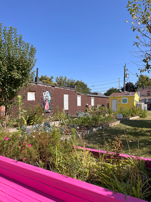 Ford City Community Garden Thumbnail Clickable thumbnail, image of garden boxes with plants at Ford City Community Garden