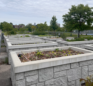 Mitchell Park Community Garden Clickable thumbnail, image of concrete, accessible garden boxes at Mitchell Park Community Garden