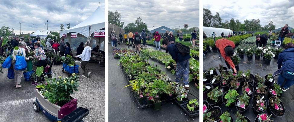 Annual Paul Martin Perennial Plant Sale yard