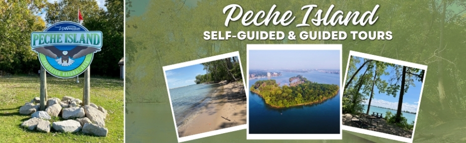 Peche Island Tours Header Peche Island Tours banner with collage including Peche Island welcome sign, a sandy coastline, aerial view of the island, and waterfront picnic tables in the shade