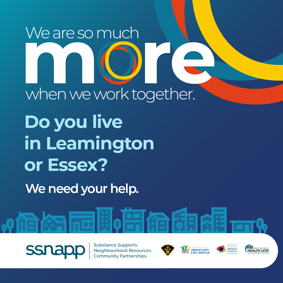 Leamington and Essex Safety Plan Community Survey
