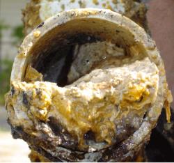 Sewer pipe blocked with a fatberg.